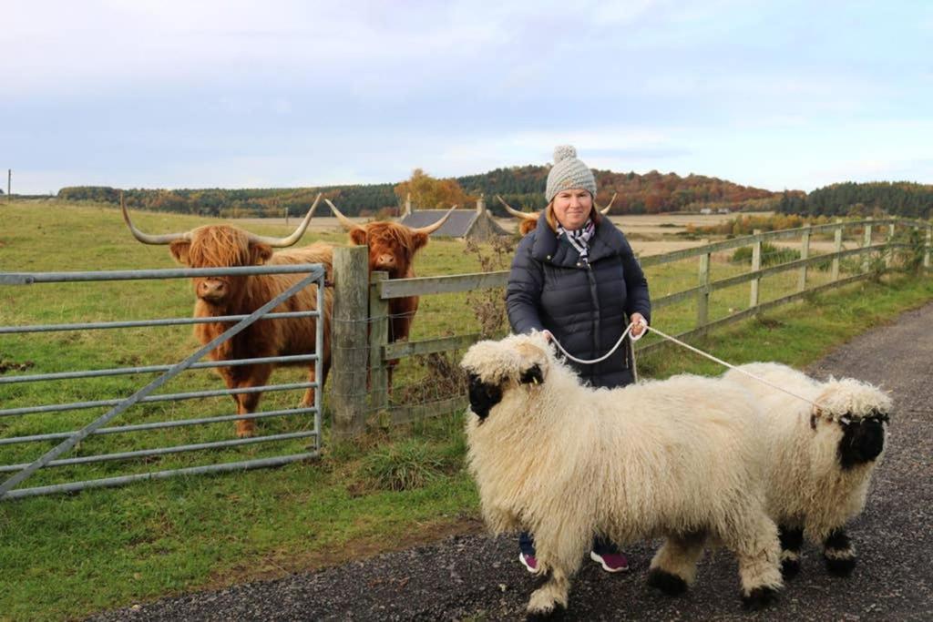 Glampods Glamping Pod - Meet Highland Cows And Sheep Elginヴィラ エクステリア 写真