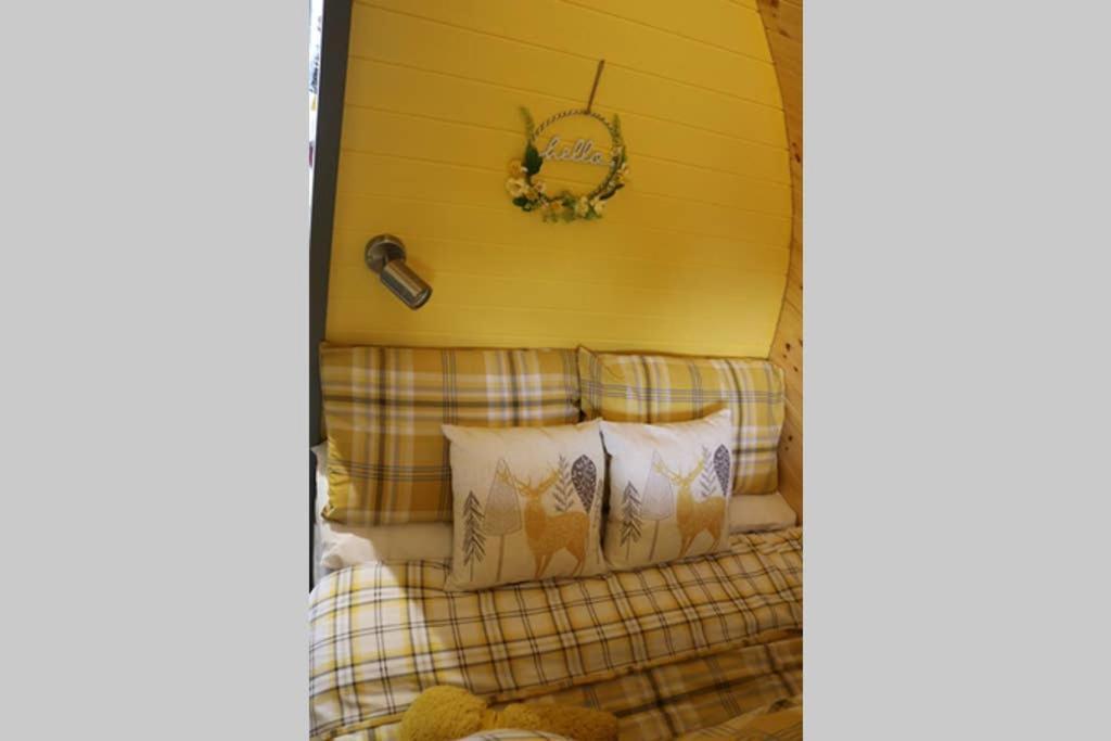Glampods Glamping Pod - Meet Highland Cows And Sheep Elginヴィラ エクステリア 写真
